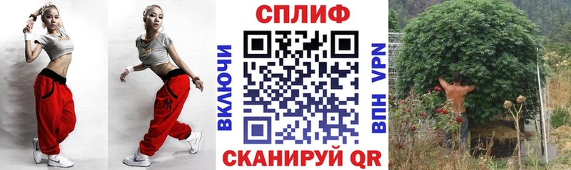 Бошки Шишки Amnesia  Новосиль 